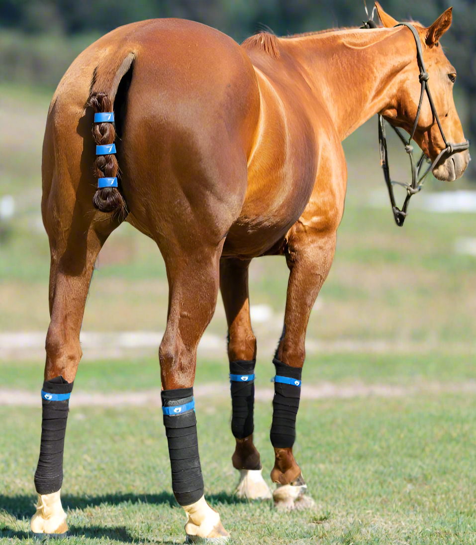 TailCinchâ„¢ Equine Tail Ties (Original)