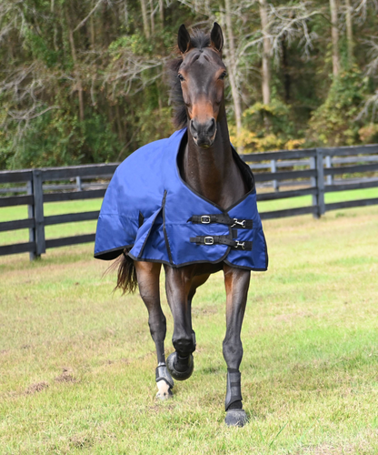 Premium 1200D Heavyweight Waterproof Turnout Blanket by Gatsby