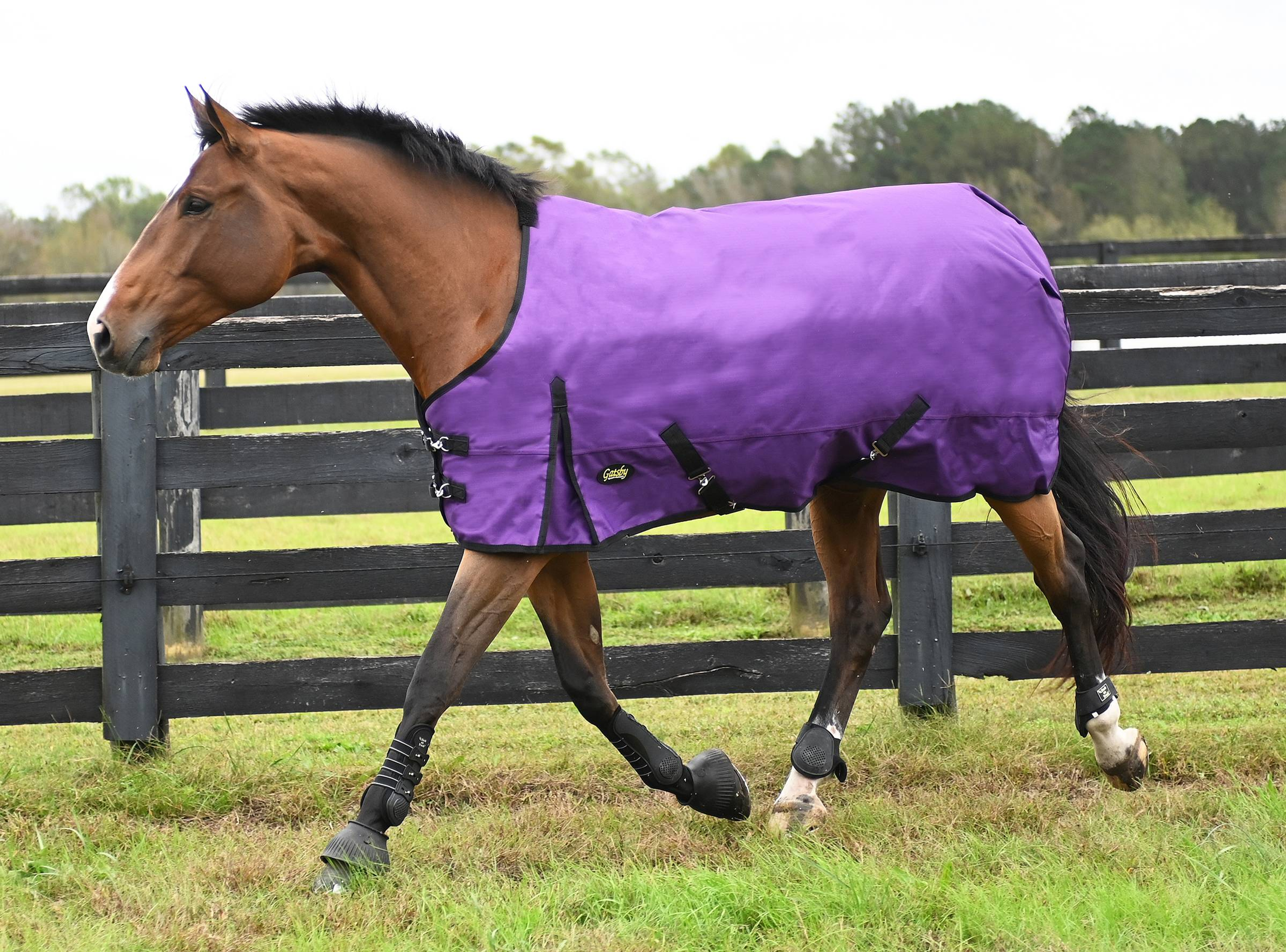 Premium 1200D Heavyweight Waterproof Turnout Blanket by Gatsby