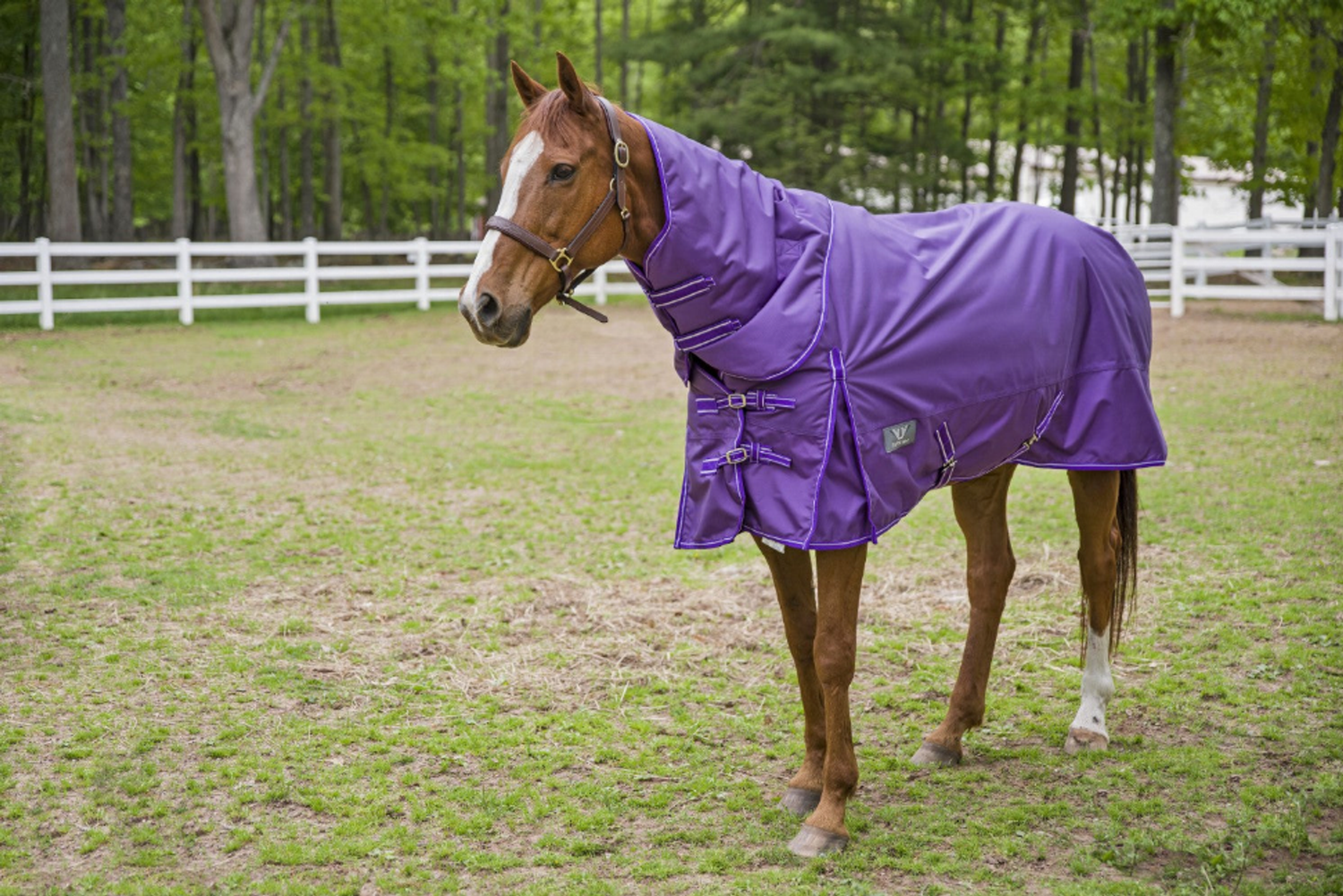 1680 D Super Comfy Detachable Neck Blanket - by Tuffrider