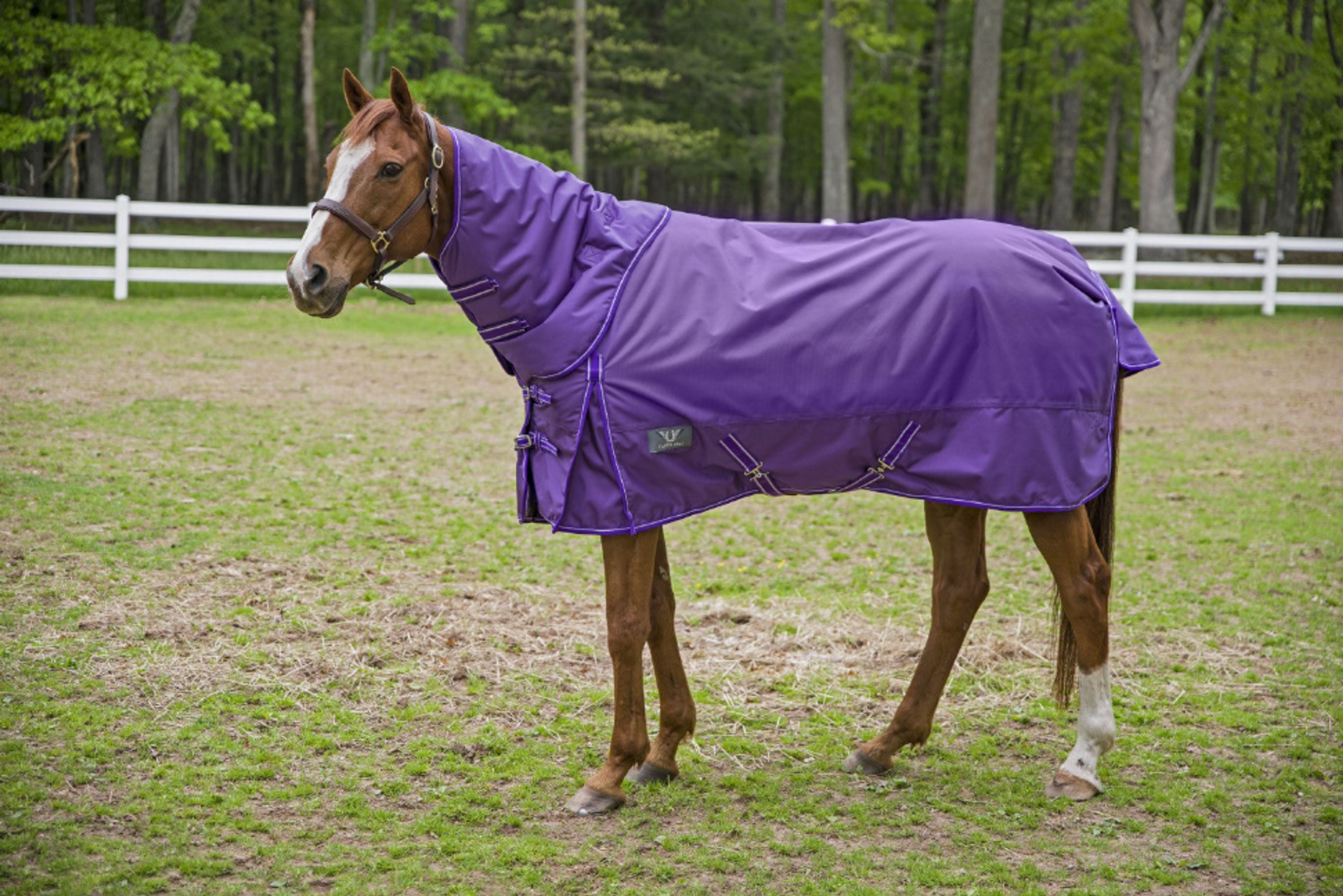 1680 D Super Comfy Detachable Neck Blanket - by Tuffrider