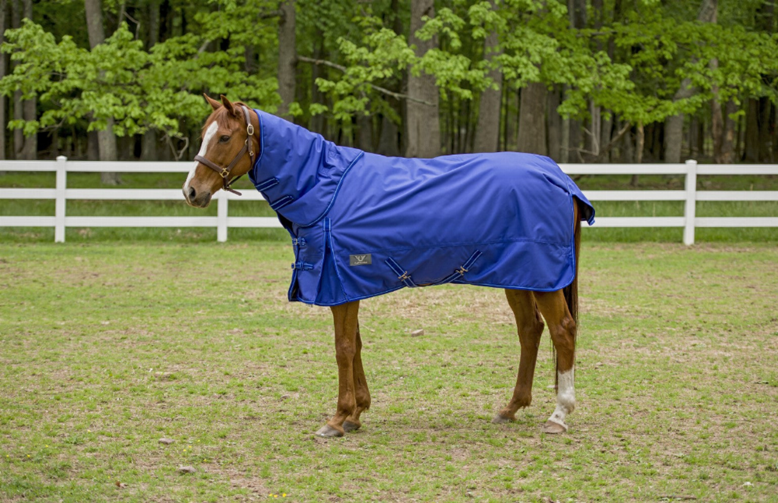 1680 D Super Comfy Detachable Neck Blanket - by Tuffrider