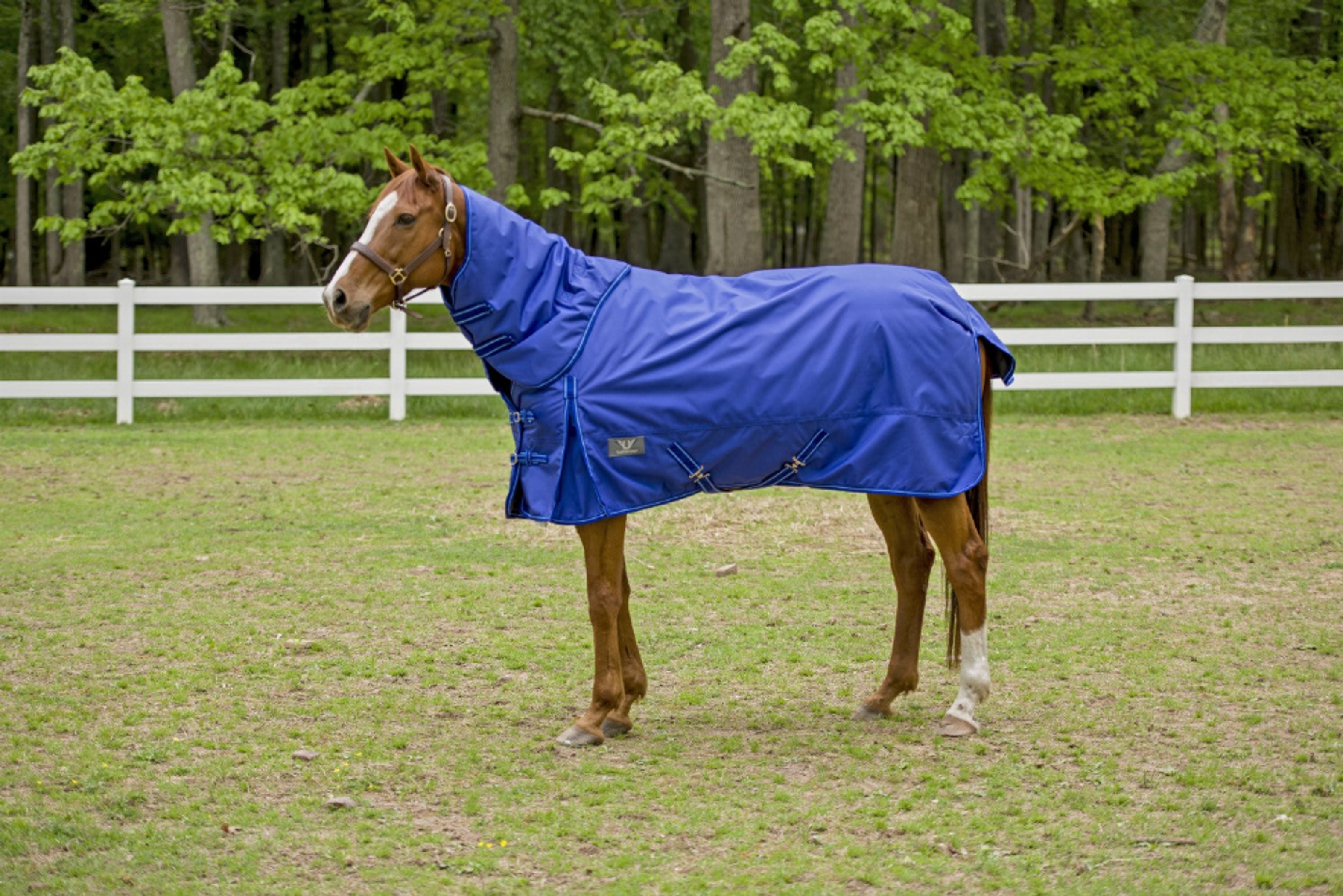 1680 D Super Comfy Detachable Neck Blanket - by Tuffrider