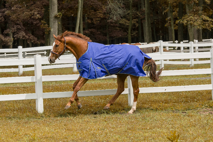 TuffRider 600D Comfy Waterproof Winter Blanket