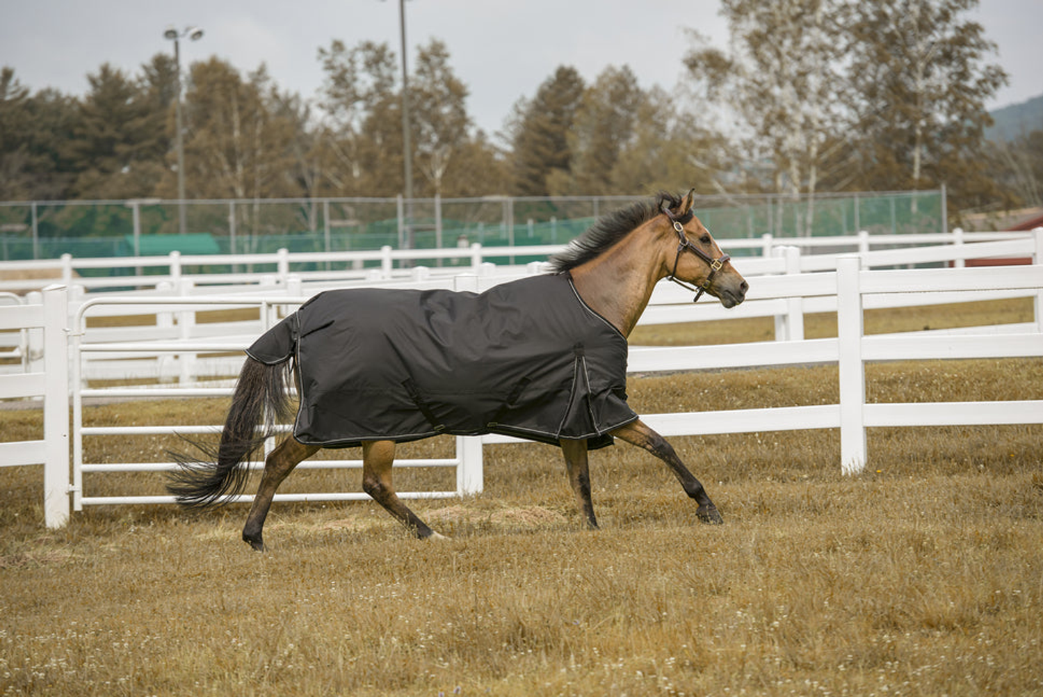 TuffRider 600D Comfy Waterproof Winter Blanket