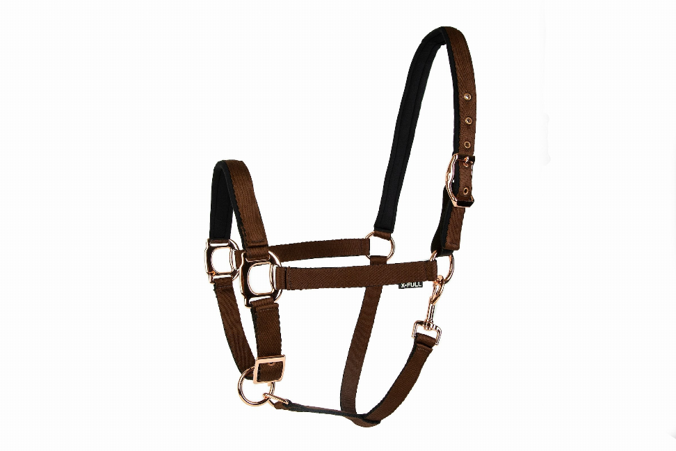 Padded Leather Breakaway Halter with rose gold